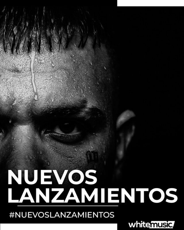 Último viernes de junio, el ventilador trabaja más horas que muchos de nosotros y encontrar una sombra libre se ha convertido en deporte olímpico. 🥵🌳
Por suerte, nuestros artistas siguen al pie del cañón y llegan con nuevos lanzamientos para hacer más llevaderas estas temperaturas. 🎶 

@doble0official – 38
@reyesgarciaofficial – Los Almendros
@soreherreape – No Va de Esencia
@chabel_oficial  @fernandomorenodj – Cien Maneras
@lascalicasoficial – Bum Bum
@sure_92_ - Vente conmigo
@reyes02.oficial – Same pain
@same.csm – Turbulencias

✅ www.whitemusic.es
@whitemusices 
@wdistributiones
#Whitemusic #Distribuidora #nuevamusica #release